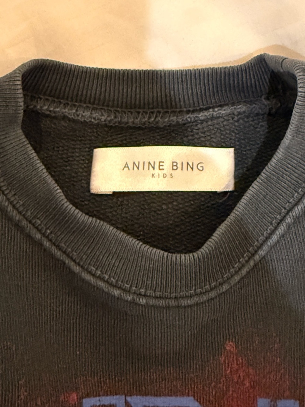 Anine Bing KIDS Muse Graphic Sweatshirt 🐅 - Picture 4 of 5